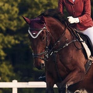 Equestrian Stockholm burgundy Ear Bonnet